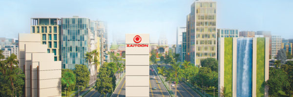 Zaitoon New Lahore City